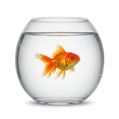 Nursing School Hard&nbsp;Lessons